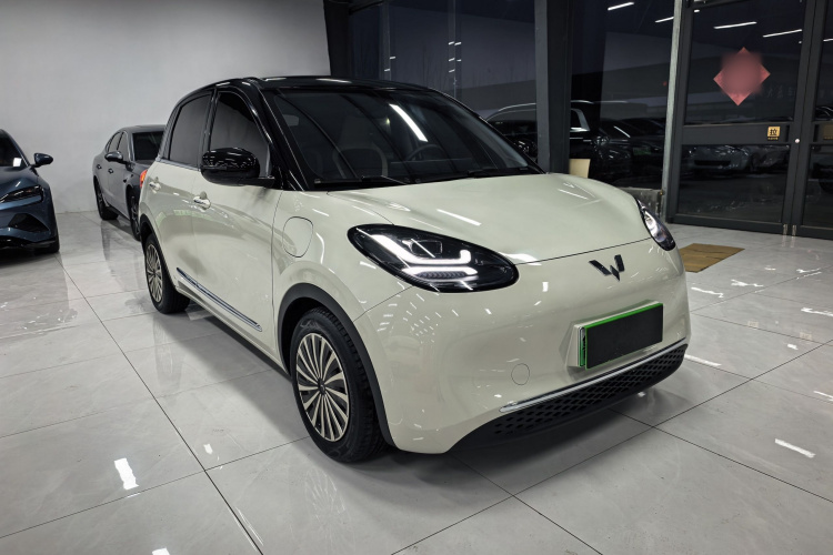 五菱汽车 五菱缤果 2023款 333km 灵犀互联款车身外观6002