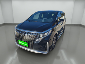 广汽传祺 传祺M8 2023款 大师系列 390T 尊贵版