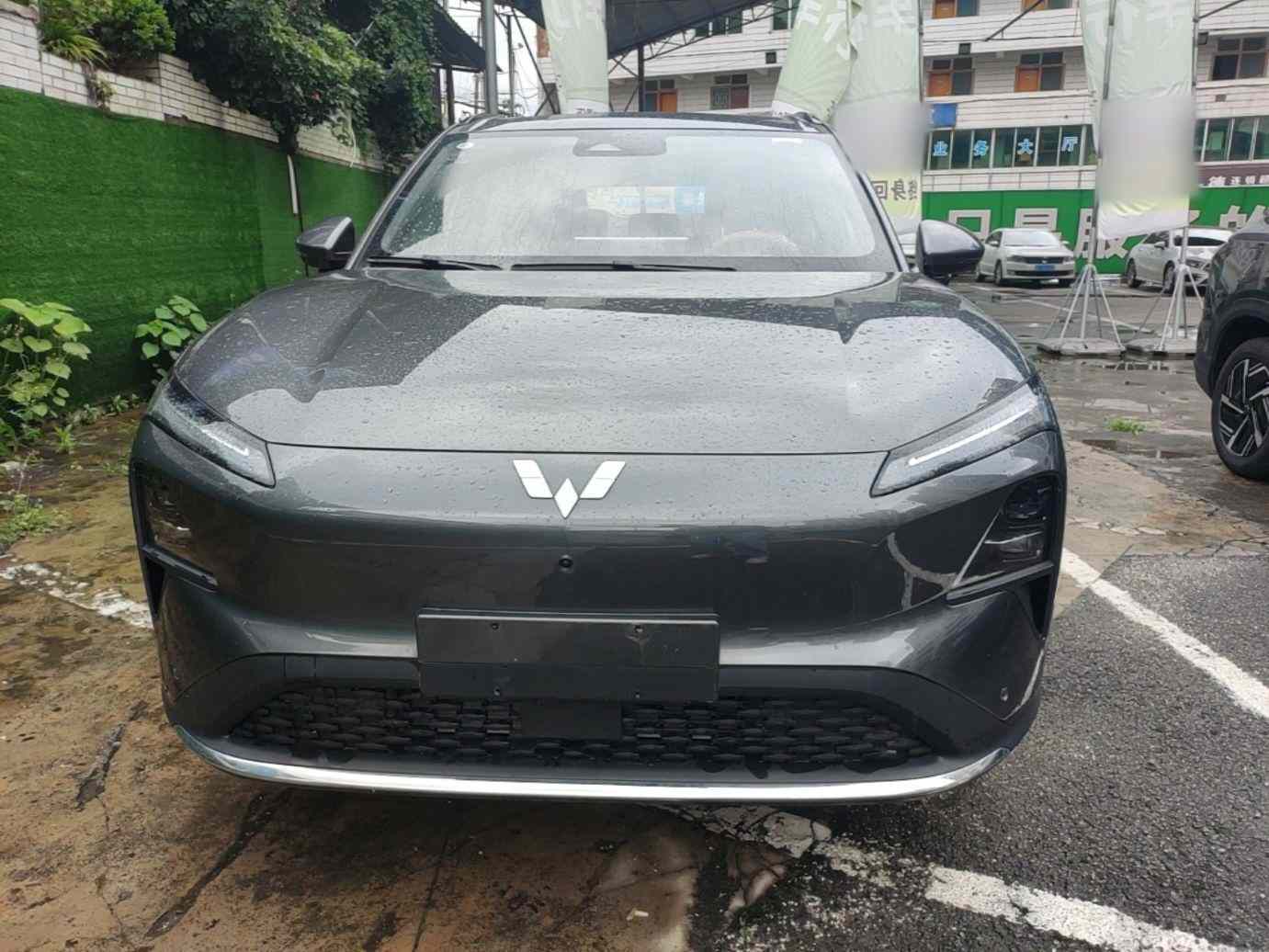 五菱汽车 五菱星光S 2025款 510km 旗舰型(1)