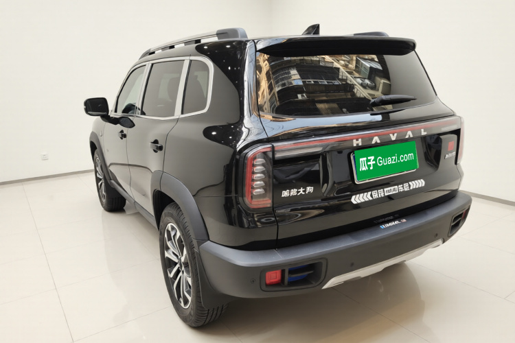 哈弗大狗 2024款 1.5T DCT拉布拉多版车身外观5