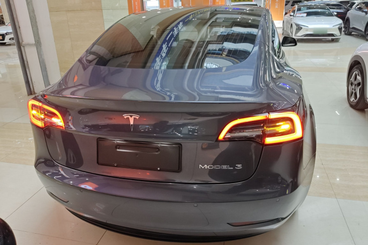 特斯拉 Model 3 2020款 标准续航后驱升级版车身外观6