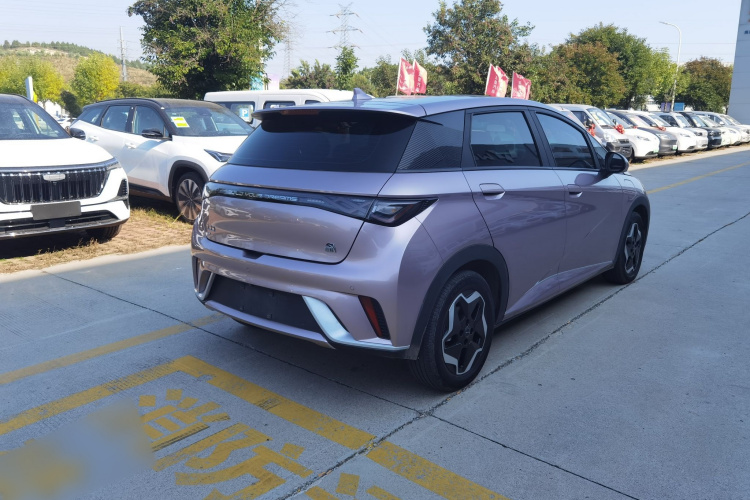 比亚迪 海豚 2021款 405km 自由版车身外观6006