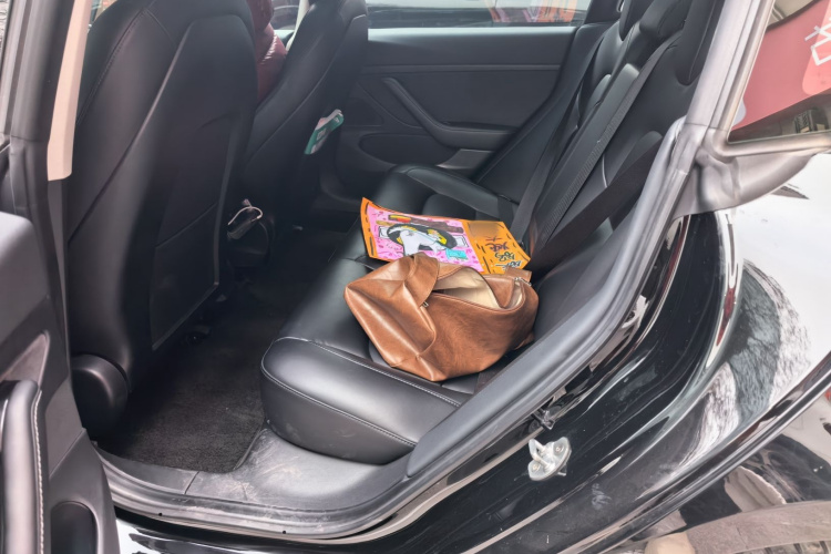 特斯拉 Model 3 2020款 标准续航后驱升级版中控内饰21