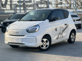 荣威 科莱威CLEVER 2021款 302km卓越版