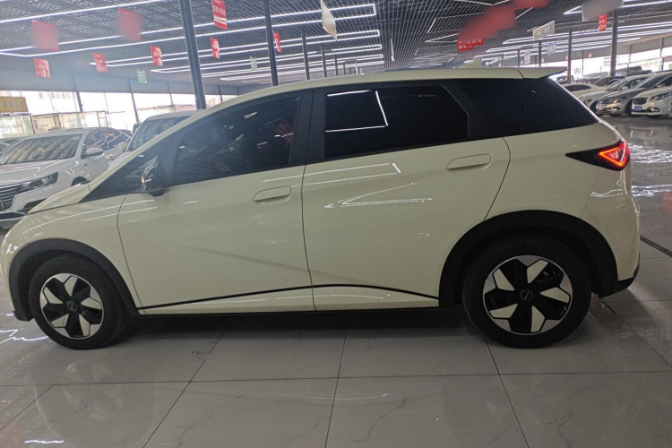 比亚迪 海豚 2025款 420km 自由版车身外观4