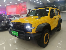 坦克300 2022款 2.0T 边境限定版