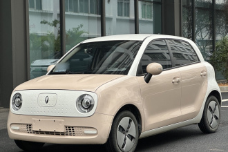 欧拉黑猫 2022款 301km 萌宠版 磷酸铁锂