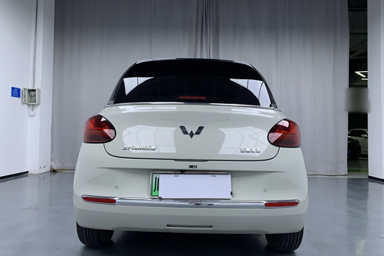 五菱汽车 五菱缤果 2024款 333km 悦享款车身外观6004