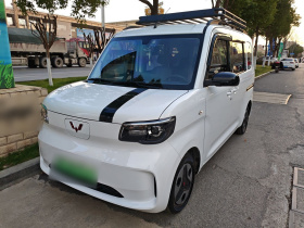 五菱汽车 五菱之光新能源 2025款 305km 进取型