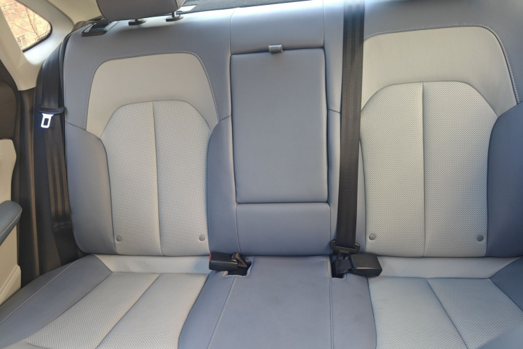 飞凡汽车 飞凡ER6 2020款 620km 智享版局部细节9006