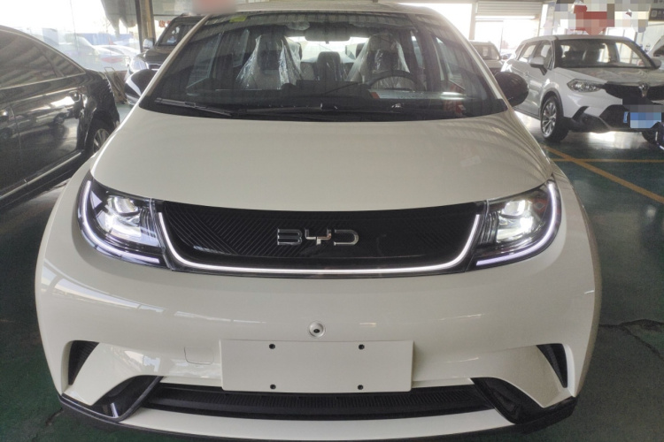 比亚迪 海豚 2025款 420km 自由版车身外观2