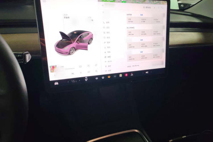 特斯拉 Model 3 2021款 标准续航后驱升级版 3D6局部细节16