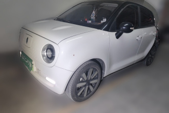 欧拉黑猫 2021款 351km 标准型