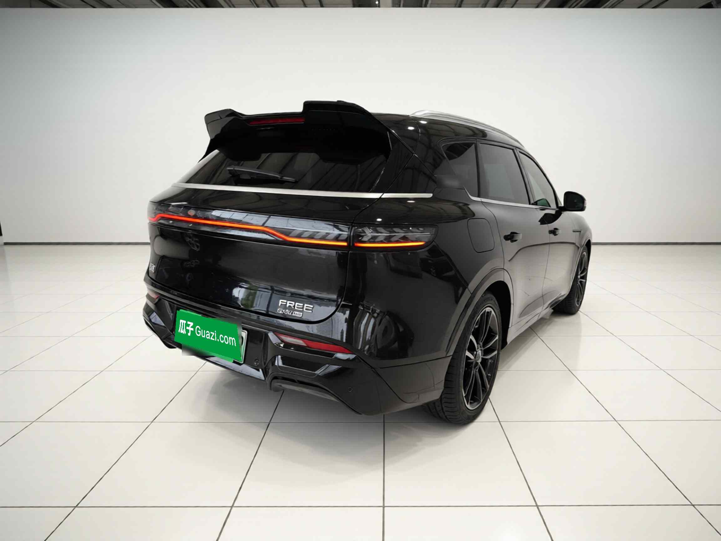 岚图汽车 岚图FREE 2024款 超长续航智驾版(5)
