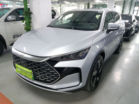 比亚迪 唐新能源 2024款 DM-i 荣耀版 112KM 尊贵型