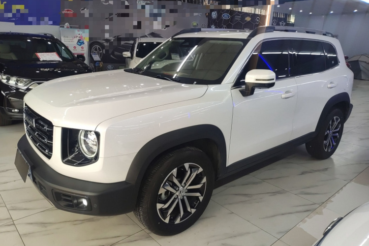 哈弗大狗 2021款 1.5T DCT两驱边牧版车身外观6003