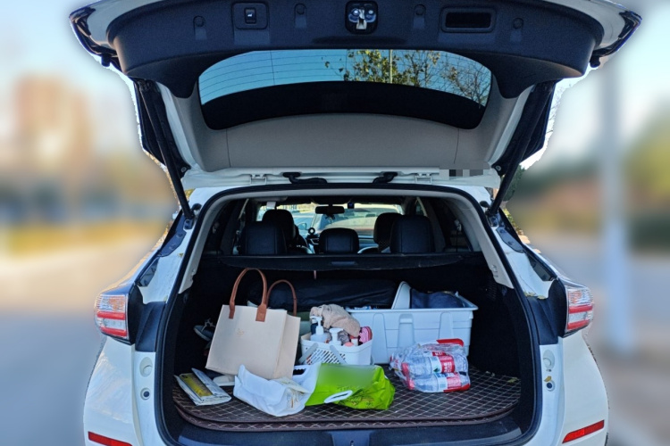 日产 楼兰 2019款 2.5L XL 两驱智联豪华版 国VI中控内饰23