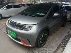 比亚迪 海豚 2021款 405km 时尚版