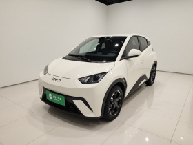 比亚迪 海鸥 2025款 405km 飞翔版