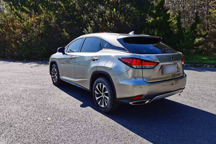 雷克萨斯RX 2020款 改款 300 两驱精英版车身外观6004