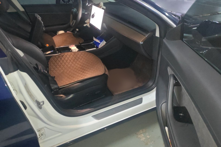 特斯拉 Model 3 2019款 标准续航后驱升级版局部细节9005