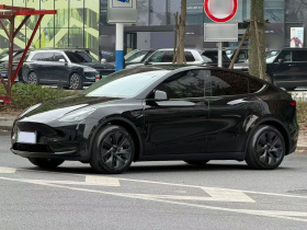 特斯拉 Model Y 2023款 后轮驱动版