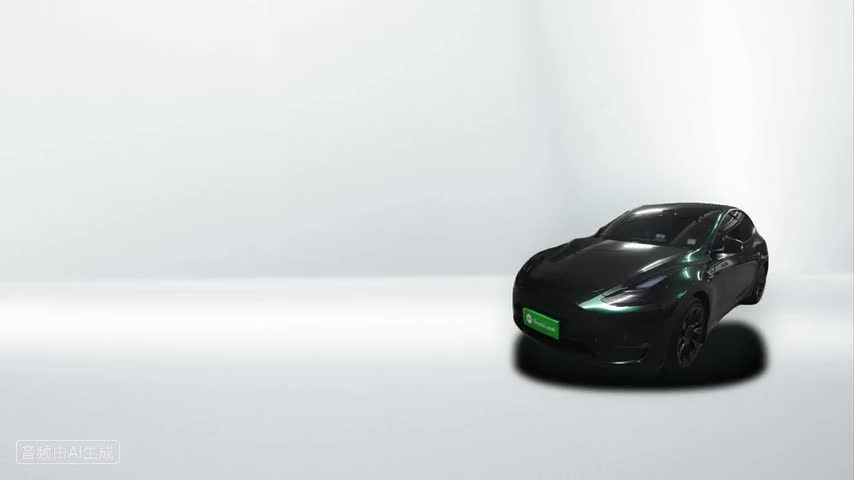 特斯拉 Model Y 2021款 长续航全轮驱动版检测视频1