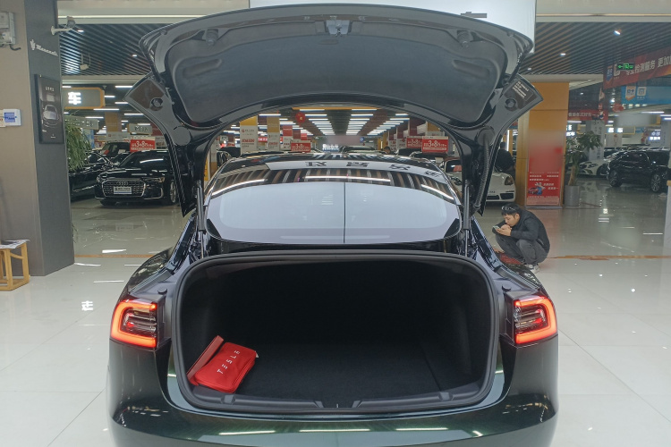 特斯拉 Model 3 2019款 标准续航后驱升级版局部细节23