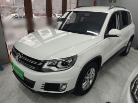 大众 途观 2016款 300TSI 手动两驱风尚版