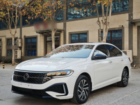 大众 朗逸 2024款 300TSI DSG星空领先版