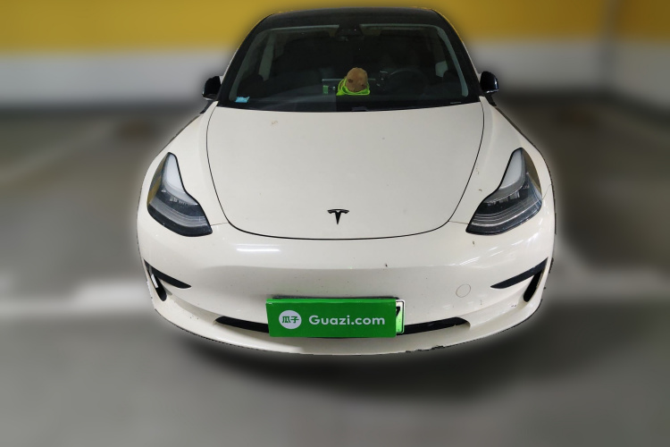特斯拉 Model 3 2020款 标准续航后驱升级版车身外观6001