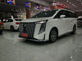 广汽传祺 传祺M8 2024款 大师系列 400T 尊贵版