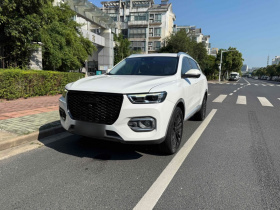 哈弗H6 2020款 1.5GDIT 自动铂金豪华版