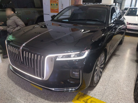 红旗H9 2020款 3.0T 智联旗领四座版