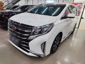 广汽传祺 传祺M8 2021款 领秀系列 390T 尊享版