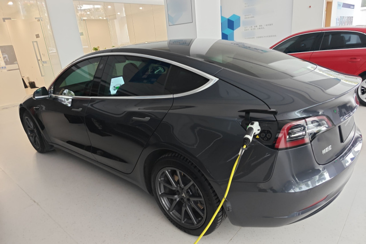 特斯拉 Model 3 2020款 标准续航后驱升级版车身外观6003