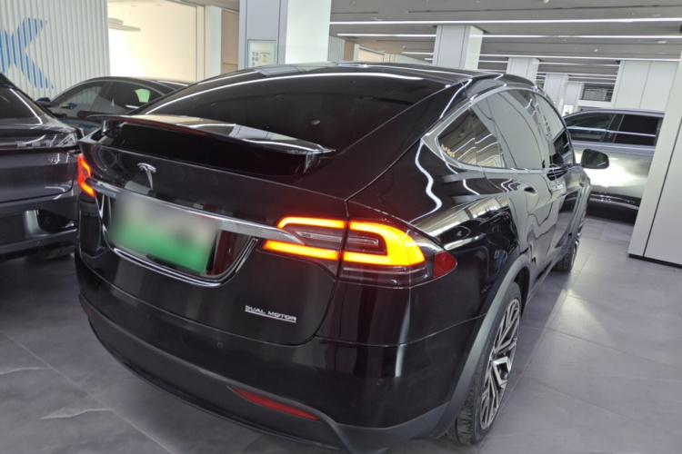 特斯拉 Model X 2019款 Performance 高性能版车身外观7