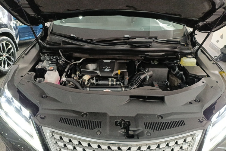 雷克萨斯RX 2021款 300 四驱特别版局部细节24