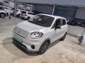 零跑汽车 零跑T03 2023款 403智享版