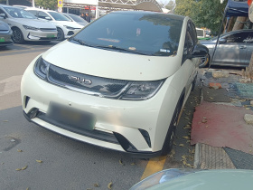 比亚迪 海豚 2024款 荣耀版 420km 时尚版