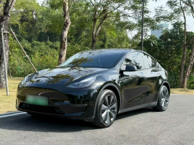 特斯拉 Model Y 2023款 长续航全轮驱动版