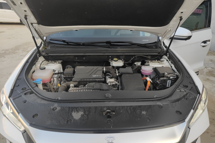 比亚迪 宋Pro新能源 2024款 荣耀版 DM-i 71KM领航型机舱底盘24