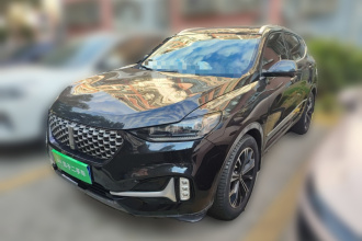 魏牌 VV6 2021款 2.0T 两驱智护+