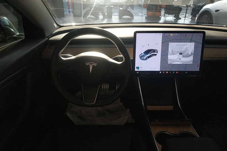 特斯拉 Model 3(进口) 2019款 Performance高性能全轮驱动版中控内饰13