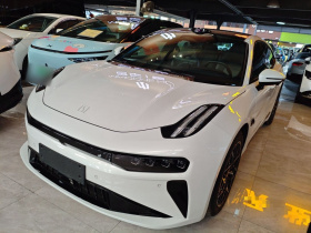 极氪001 2025款 WE版 100kWh 后驱