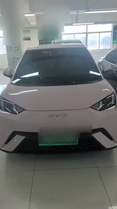 比亚迪 海鸥 2024款 荣耀版 305km 自由版讲解2