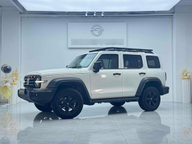 坦克300 2024款 2.0T 挑战者