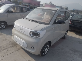 五菱汽车 宏光MINIEV 2024款 第三代 215km 青春版