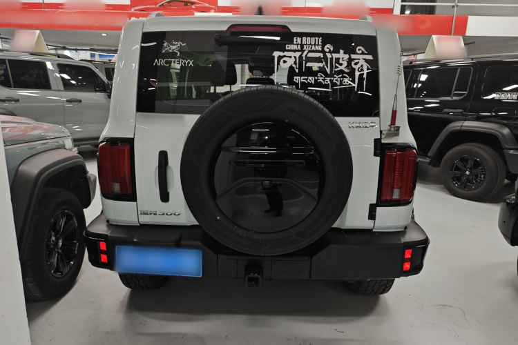 坦克300 2024款 2.0T 挑战者车身外观6