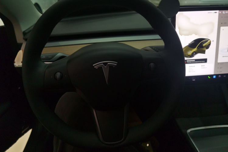 特斯拉 Model 3 2021款 标准续航后驱升级版局部细节13